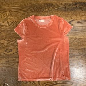 Madewell Velvet T Shirt Size Small